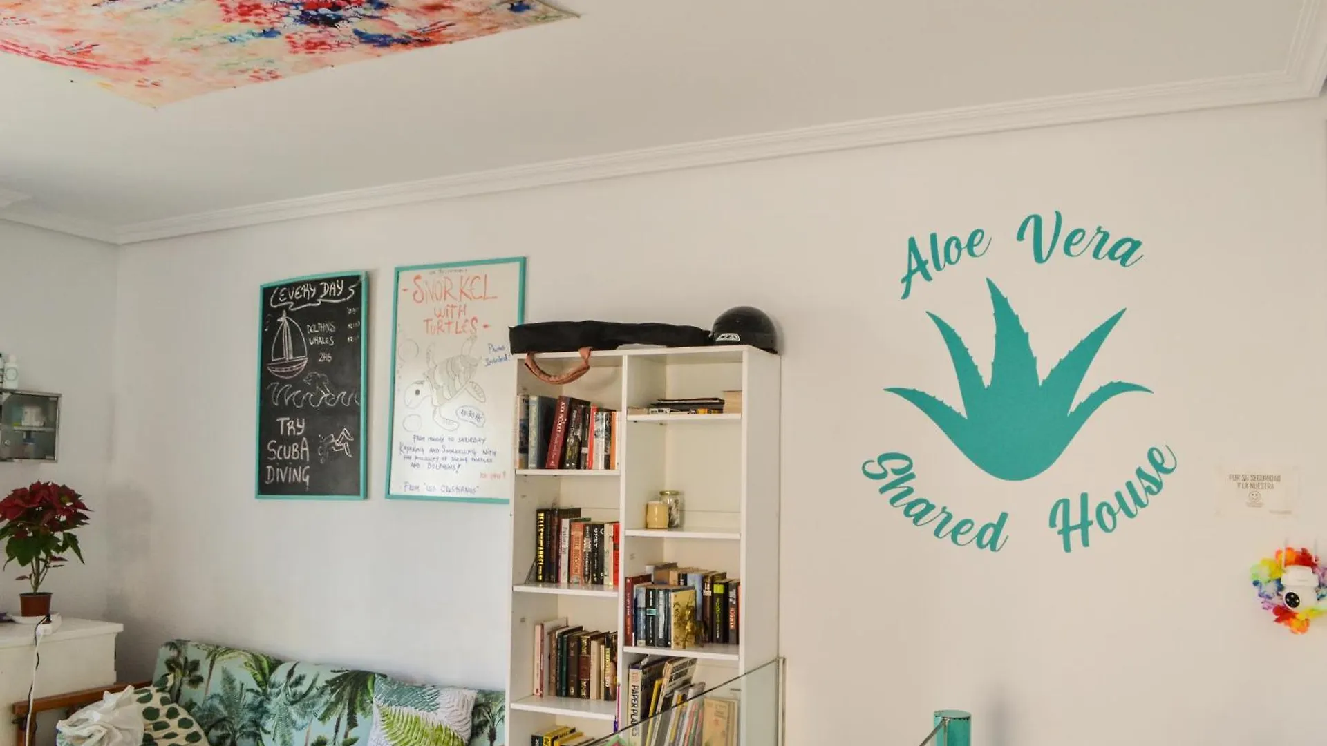 Aloe Vera Shared House Ελ Μέντανο Hostel