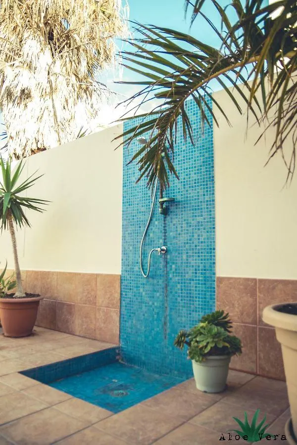 Aloe Vera Shared House Ελ Μέντανο